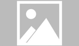 蟒蛇吃狮子并活吞视频,吞噬狮子，展现生存奇迹