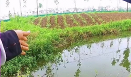 小河沟野钓视频,捕捉自然之美